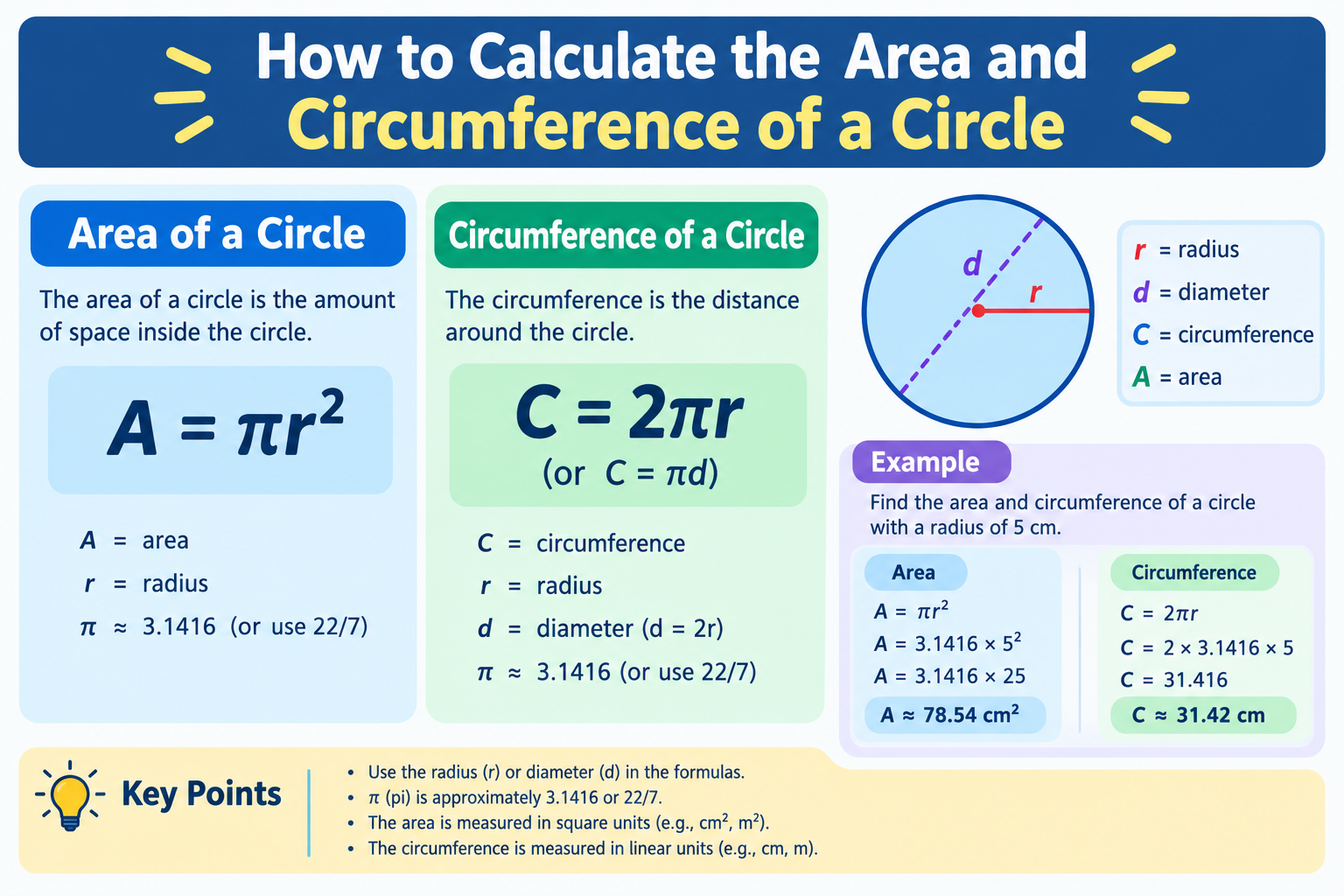 How to Calculate the Area and Circumference of a Circle